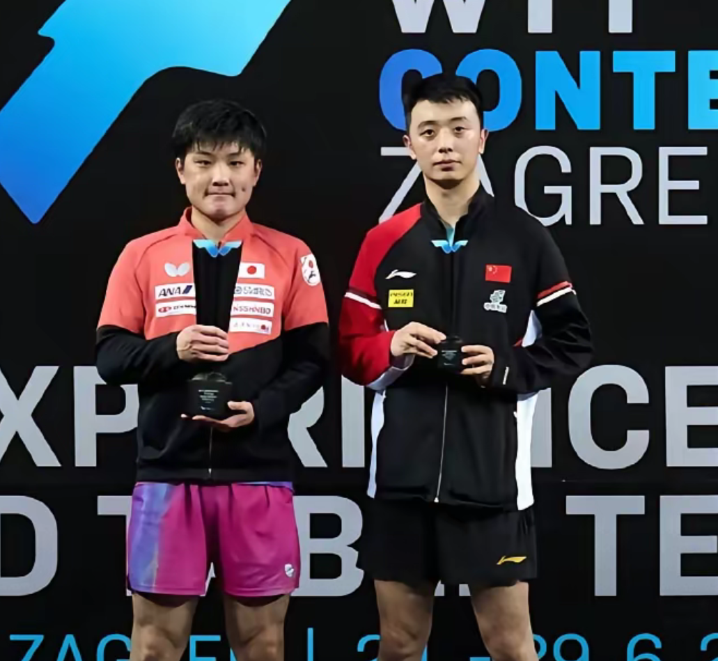 法国队碾压中国队，张本智和状态火热