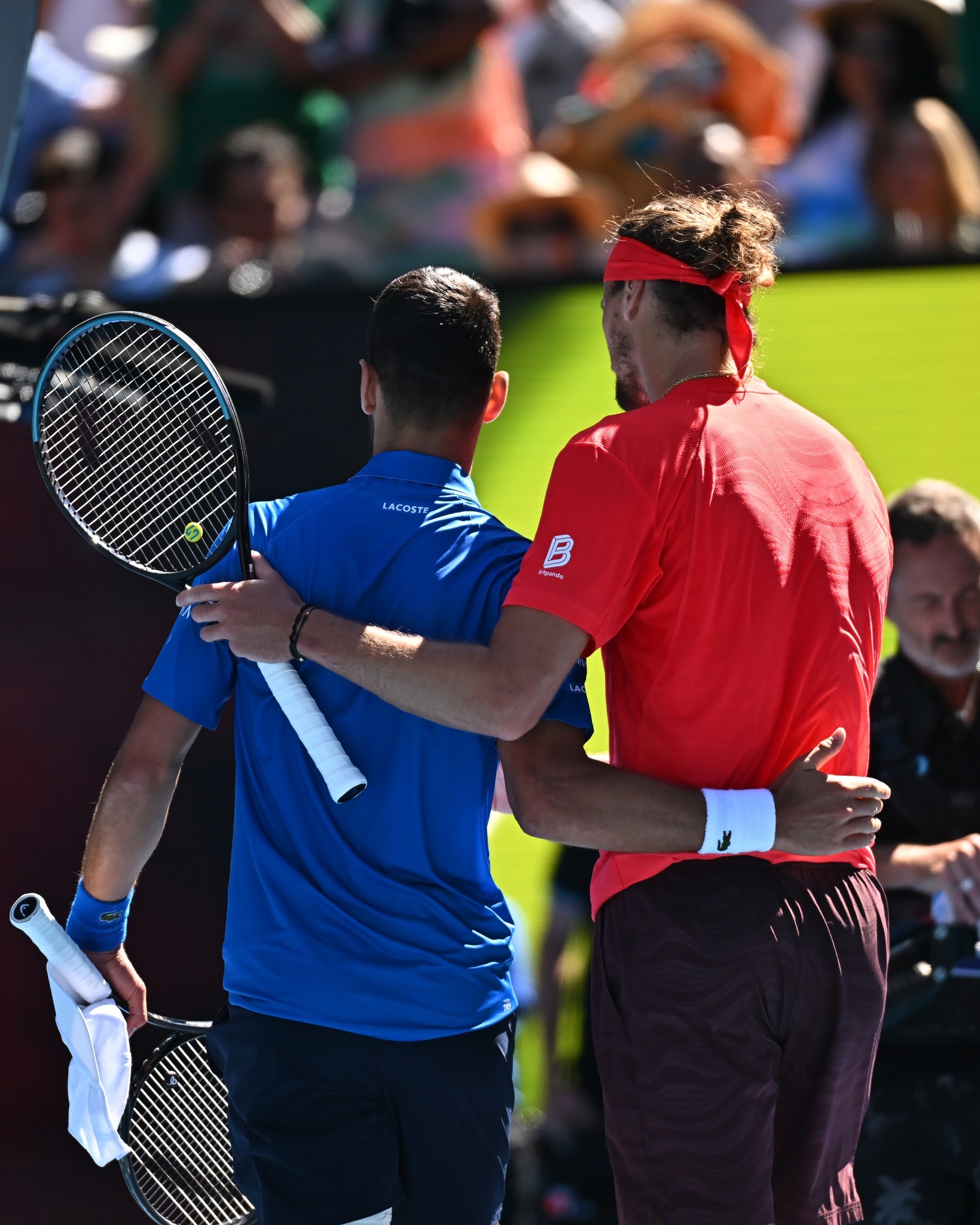 澳网险胜戴维斯杯,德约科维奇高光表现 澳网险胜戴维斯杯,德约科维奇高光表现