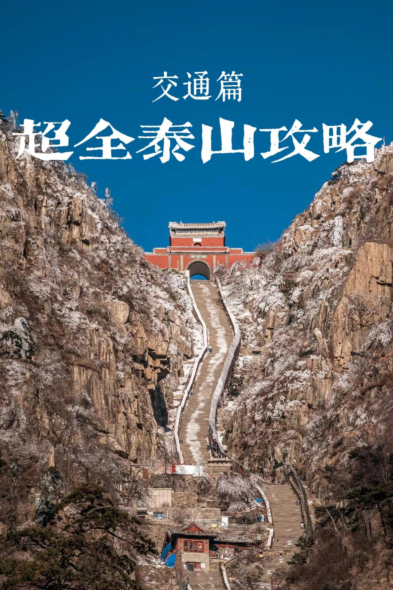 山东泰山逼平长春亚泰,实力强劲平分秋色 山东泰山逼平长春亚泰,实力强劲平分秋色