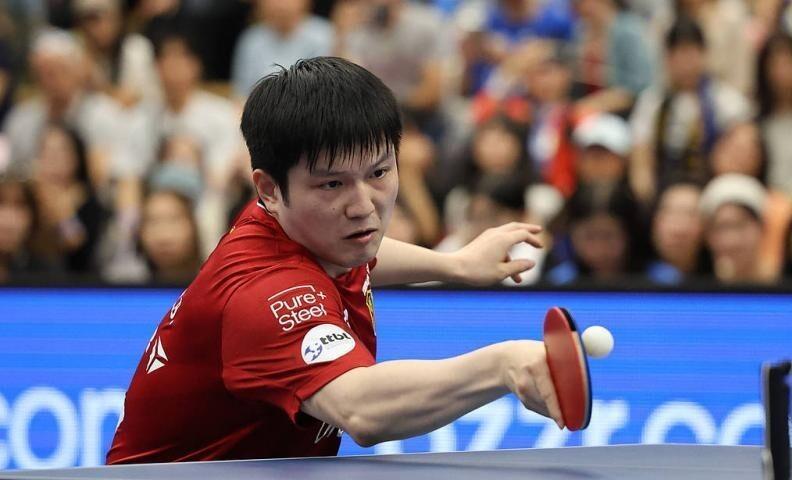 德国乒乓球队绝杀法国乒乓球队,樊振东惊艳世界 德国乒乓球队绝杀法国乒乓球队,樊振东惊艳世界