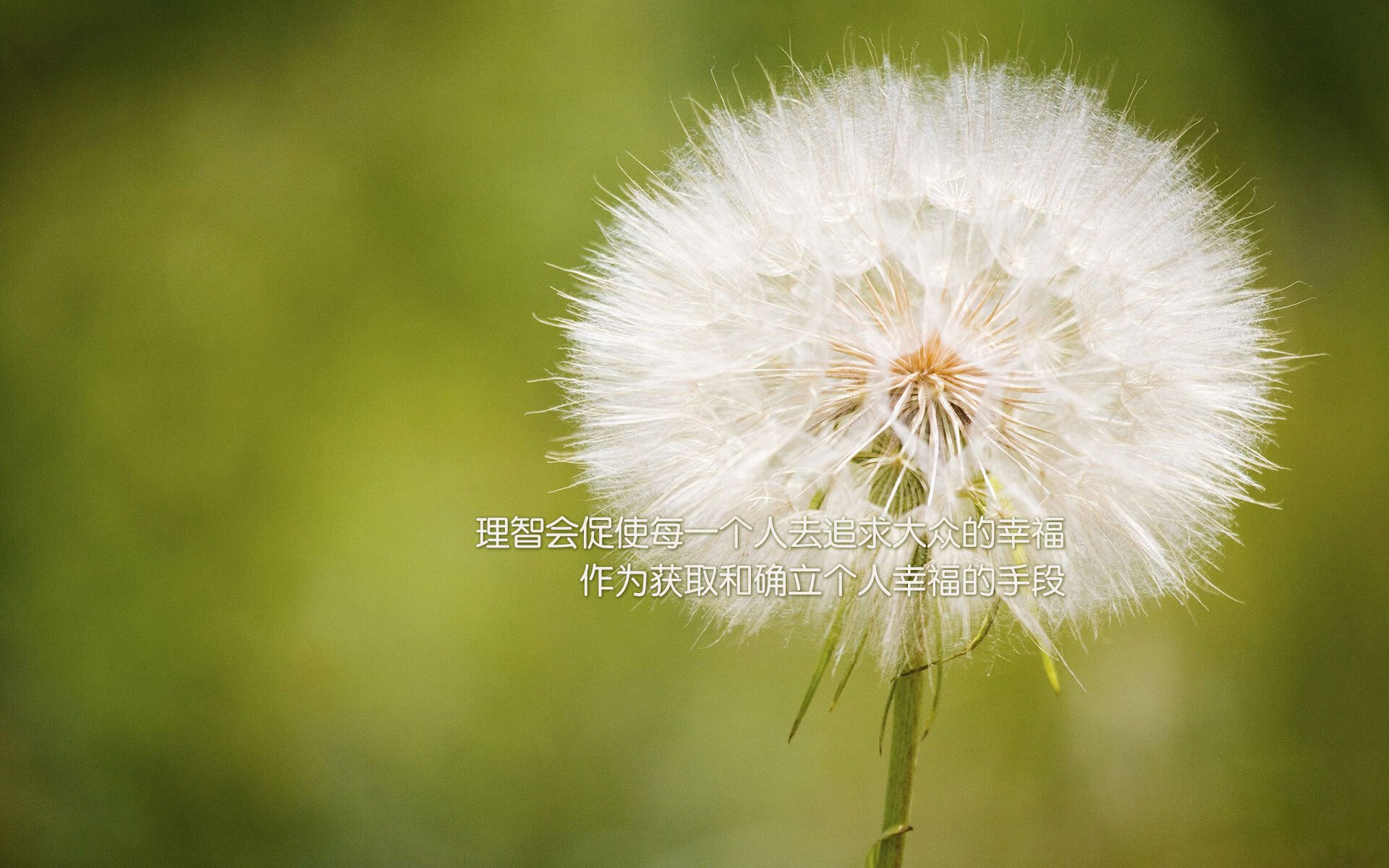 北境风暴席卷克利夫兰，爱德华兹末节狂飙，吉林队正面击溃骑士