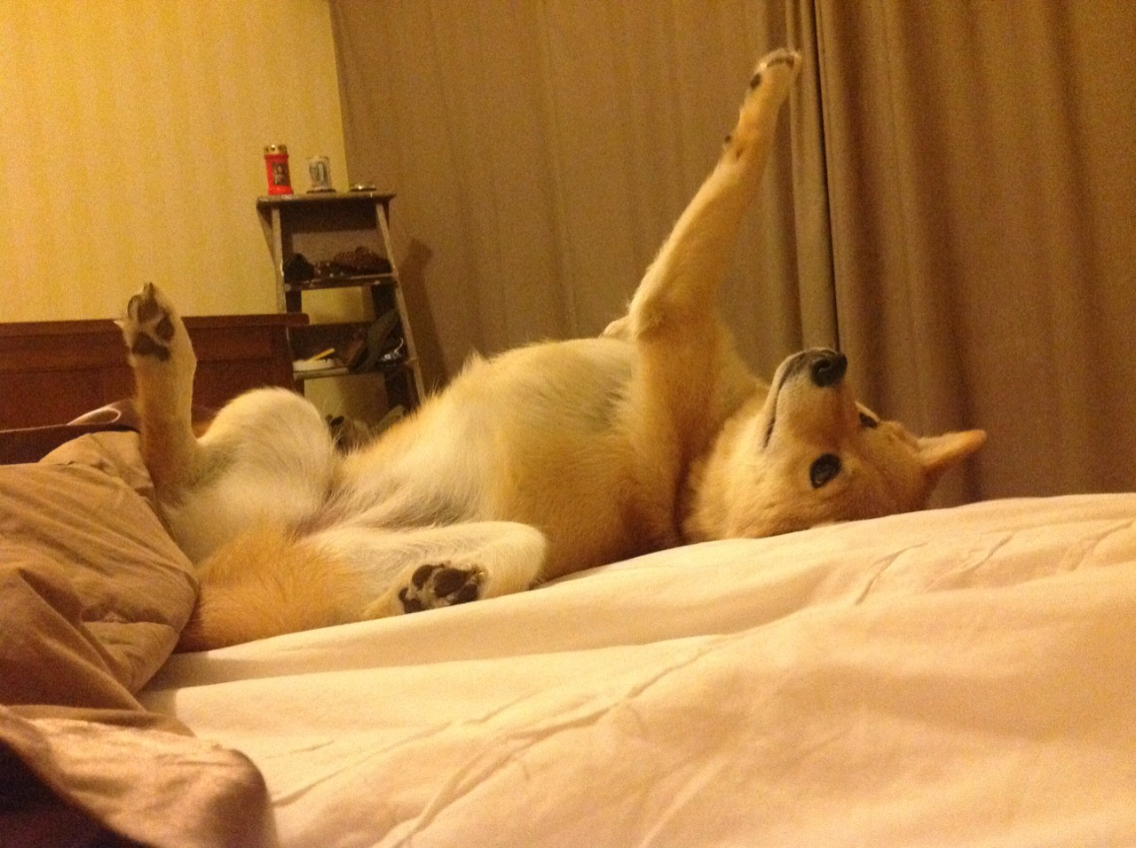 逆转与接管，当篮球跨越边界的启示