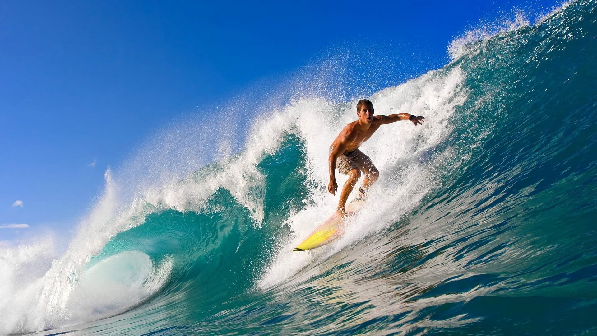鏖战岭南，继伟封神，辽宁飞豹客场险胜广州龙狮